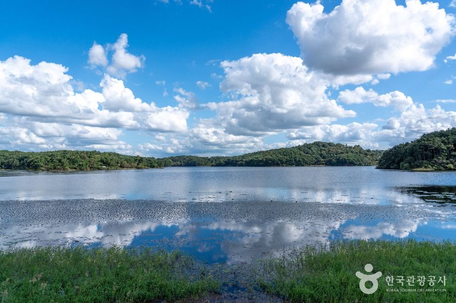 군산호수 둘레길