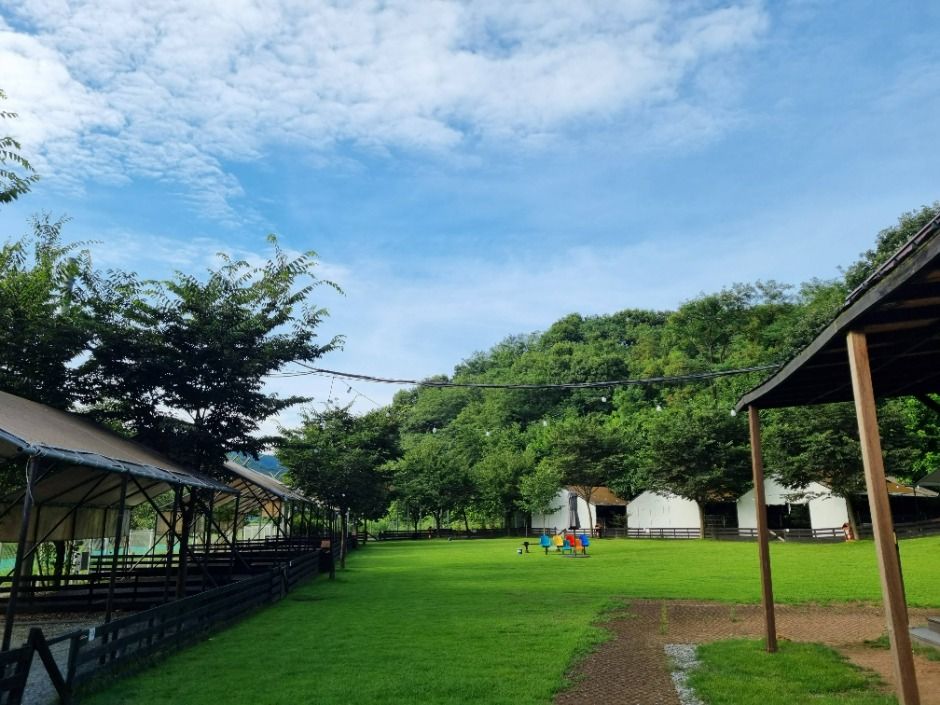 괴산_루파니애견캠핑장 (6)