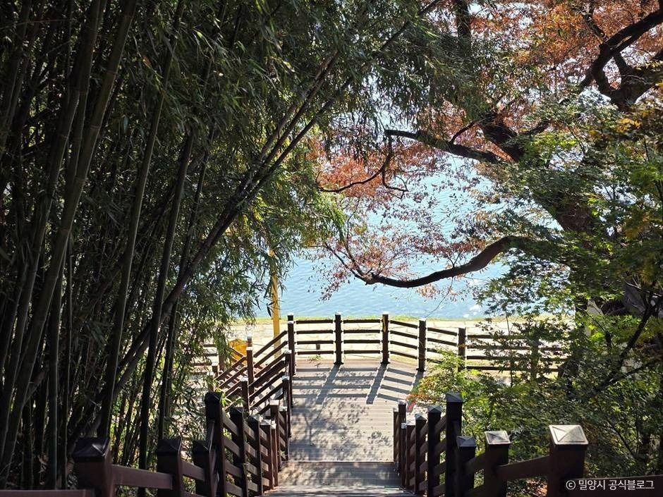 thumbnail-천진궁-4