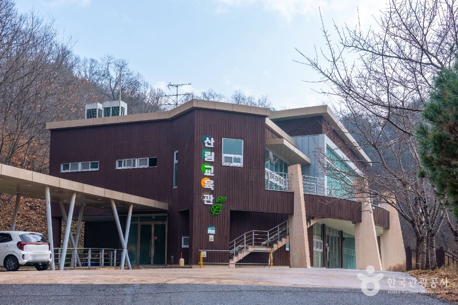 안동호반자연휴양림