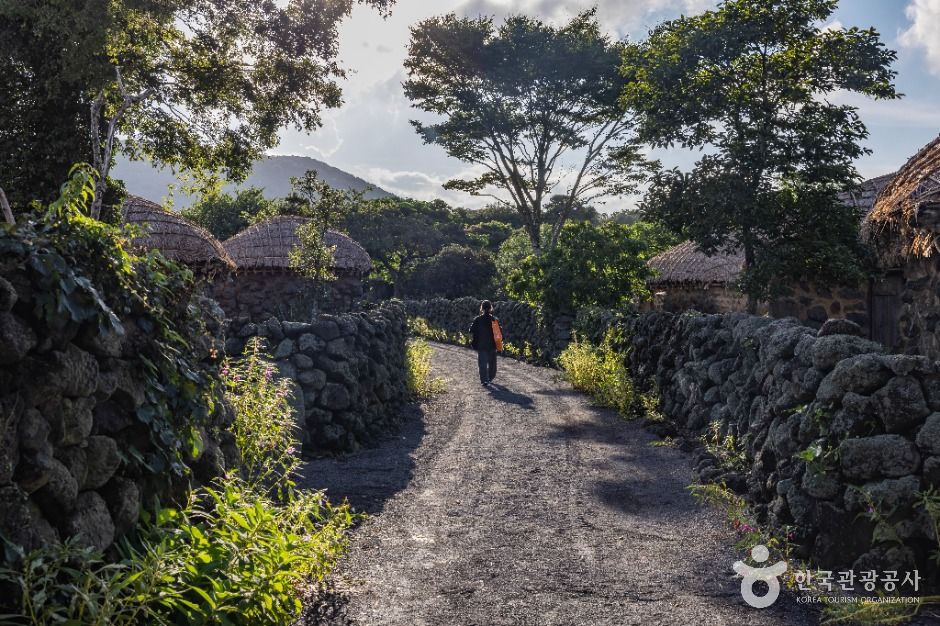 교래 삼다수마을