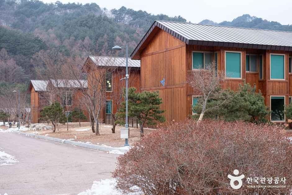 thumbnail-오대산 자연명상마을 옴뷔-12