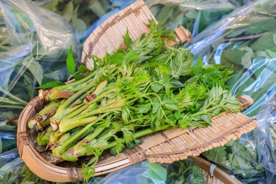 thumbnail-양평 용문산 산나물축제-2