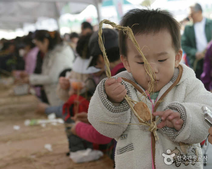 Paju Jangdan Soybean Festival (파주장단콩축제)