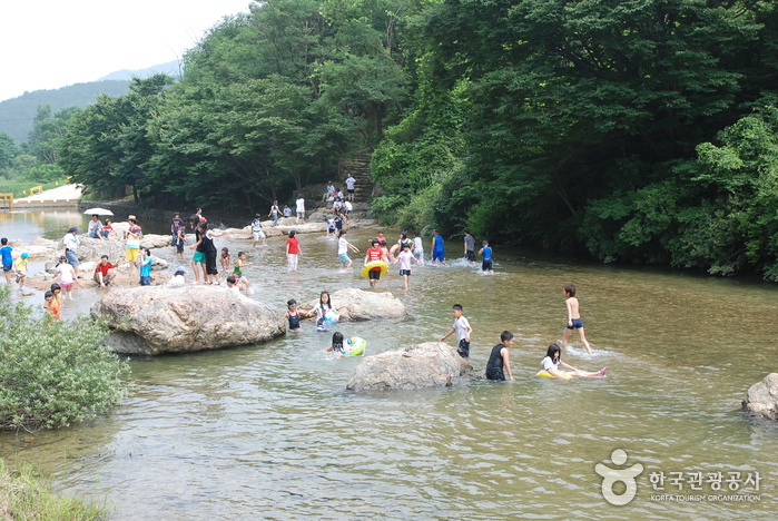 Jangnyeongsan Natural Forest (장령산자연휴양림)
