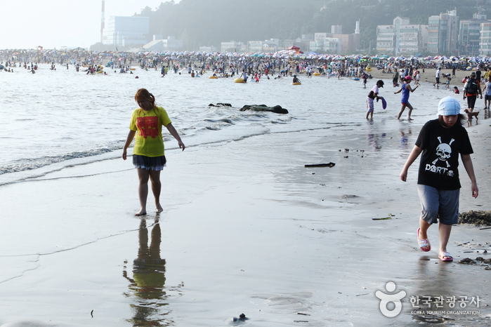 Dadaepo Beach (다대포해수욕장)