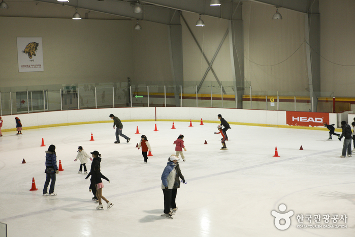 Patinoire de Korea University (고려대학교 아이스링크)