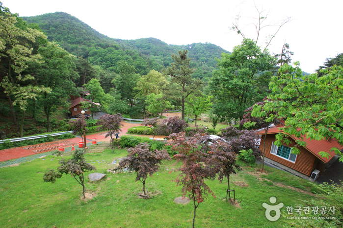 Parque Natural Recreativo Songjeong (송정자연휴양림)