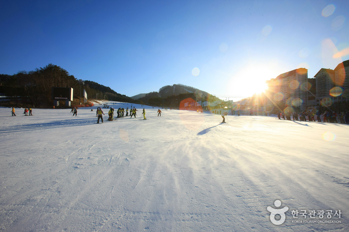 Yongpyong Ski Resort (용평리조트 스키장)