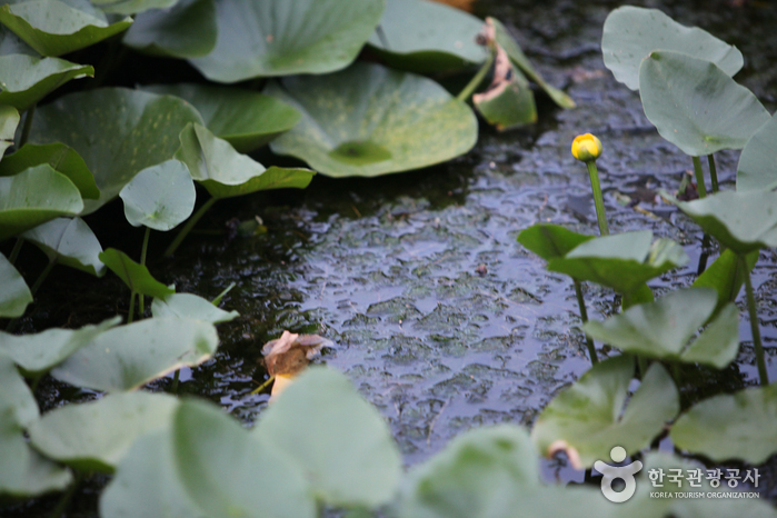 仙遊島公園(선유도공원)