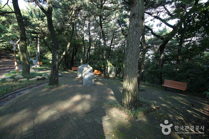 Parque Amnam de Busan (부산 암남공원)4