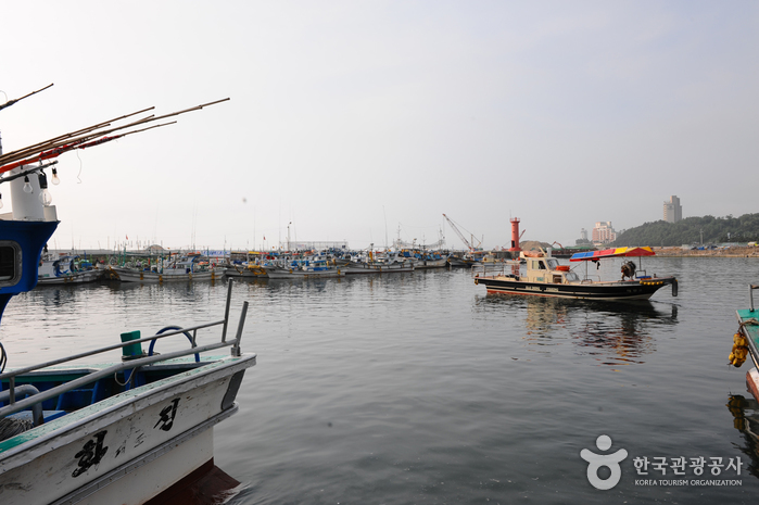 Daepohang Port (대포항)