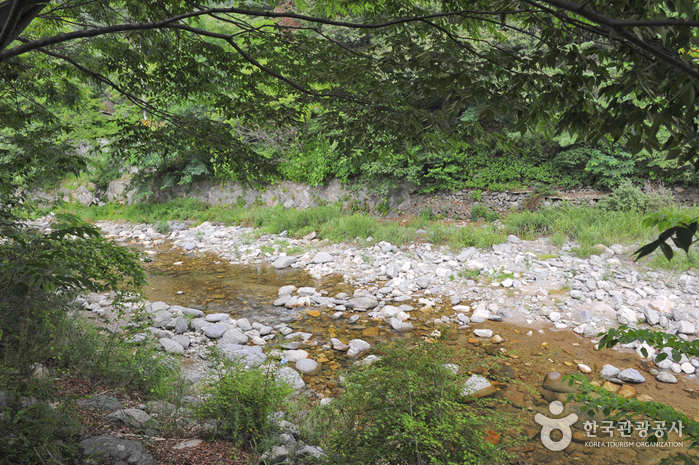 Eobigyegok Valley (어비계곡)