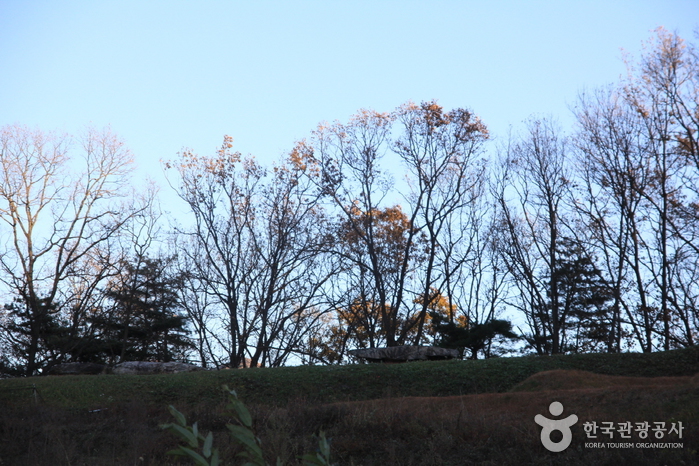 [Wanderweg Ganghwa Nadeul-gil Route 5] Weg Gobigogae-gil ([강화 나들길 제5코스] 고비고개길)