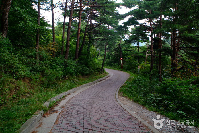 Ancienne route de Daegwallyeong (대관령 옛길)