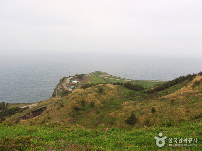 [제주올레 10코스] 화순-모슬포 올레2