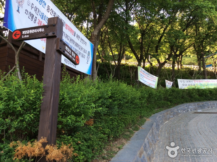 thumbnail-Gyeyangsan Mountain (계양산)-6