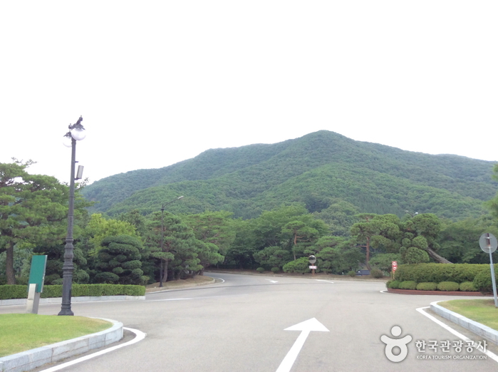 기흥컨트리클럽1