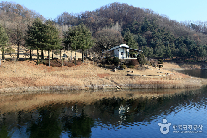 청남대 사진3