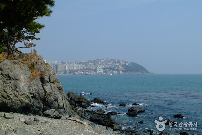 Dongbaekseom Island (동백공원)