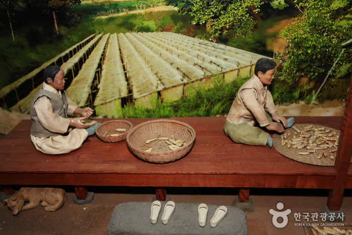 Geumsan Ginseng Museum (금산인삼관)