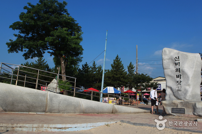 thumbnail-Muchangpo Beach (무창포해수욕장)-9