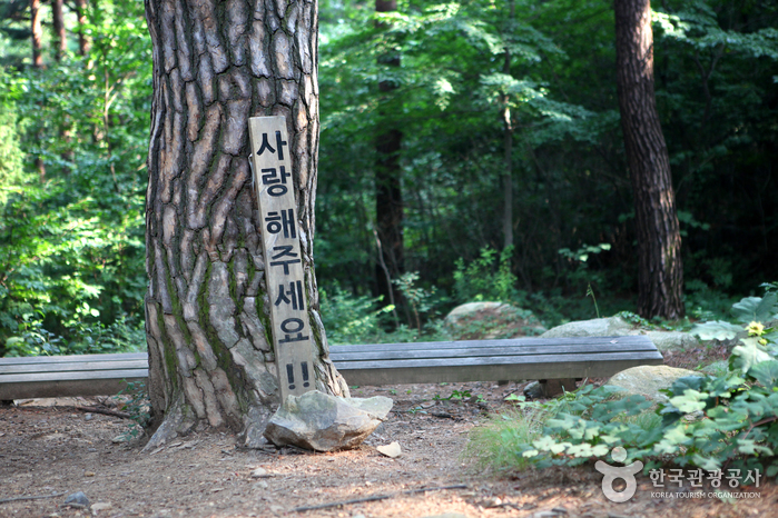 재미있는 쉼터가 마련된 산책로