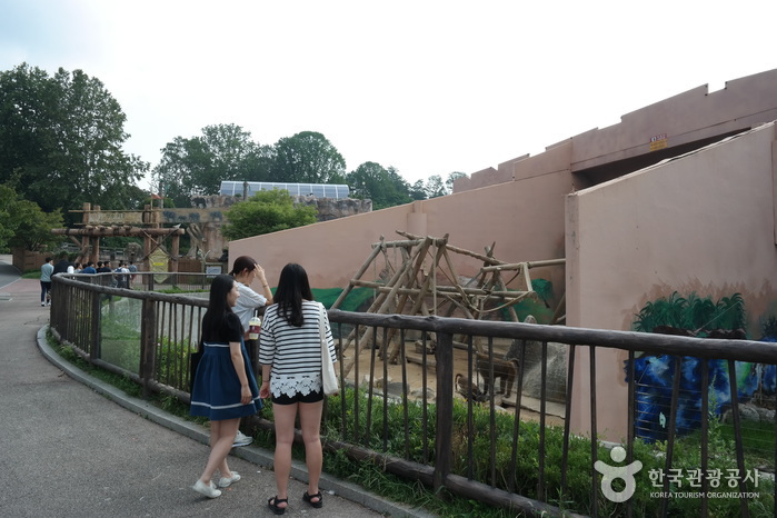 Seoul Children's Grand Park (서울어린이대공원)