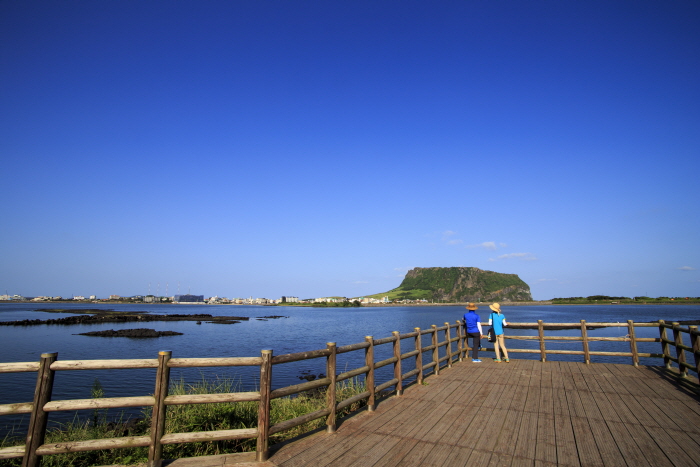 성산,오조 지질트레일의 성산일출봉 전망대 