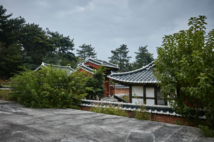 Jardín Botánico de Namsan (남산 야외식물원)5