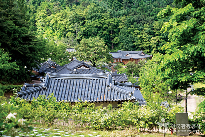 전통 리조트 구름에