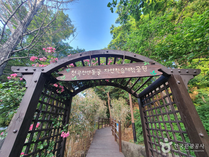 오대산 자연명상마을7