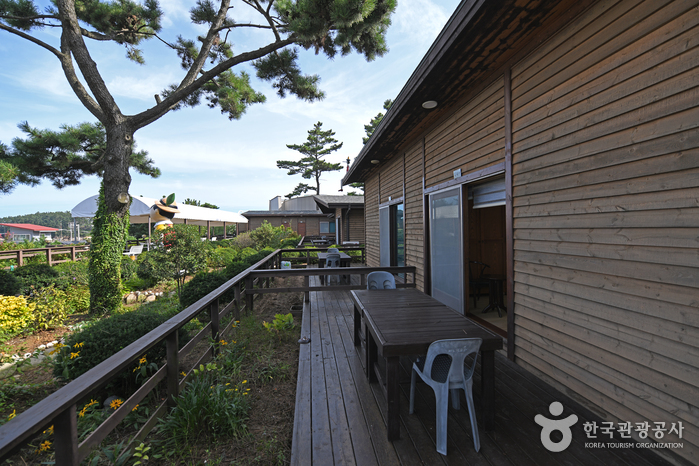 피노앤키오리조트(피노키오) [한국관광 품질인증/Korea Quality]8