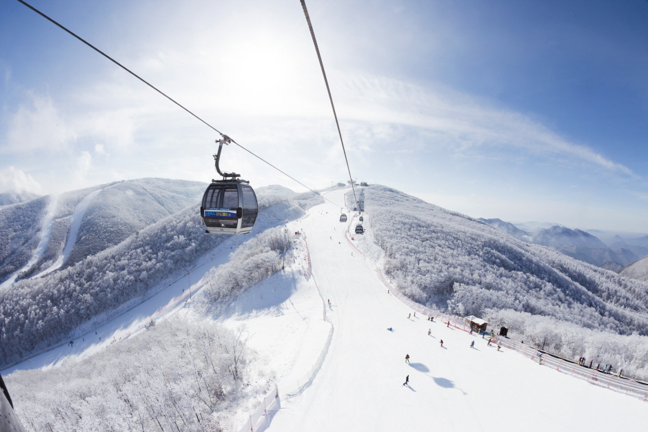 High1 Ski Resort (하이원리조트 스키장)