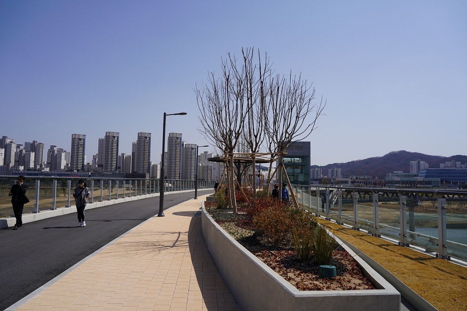 Fußgängerbrücke Geumgang (금강보행교)