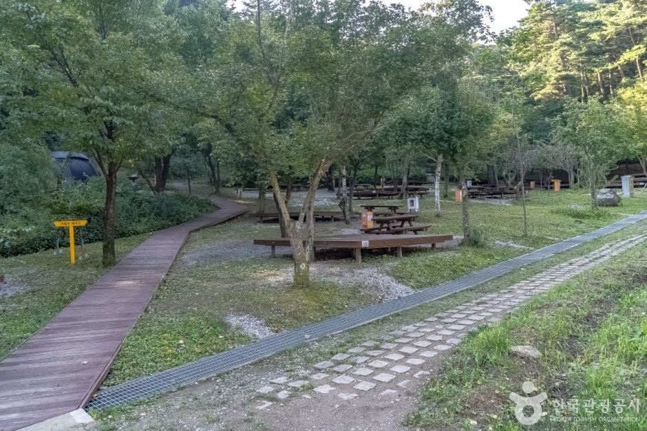 thumbnail-국립대관령자연휴양림-7