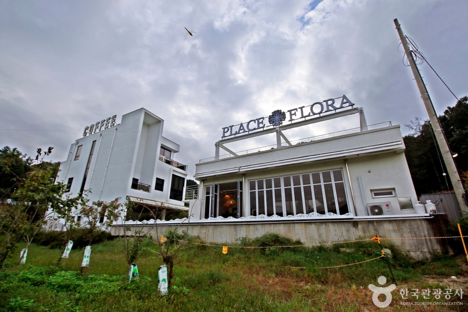 Place Flora (플레이스플로라)