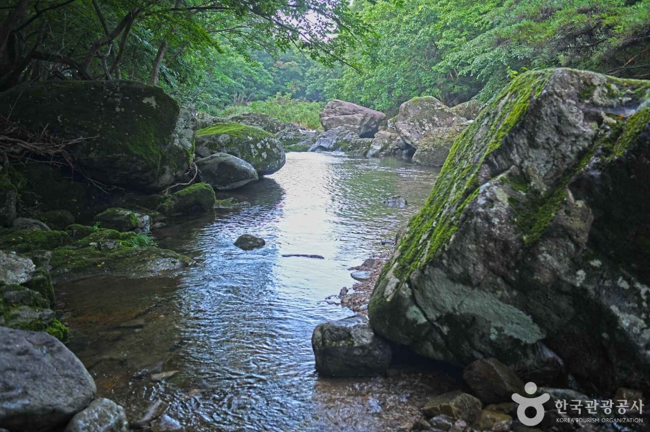 남창계곡