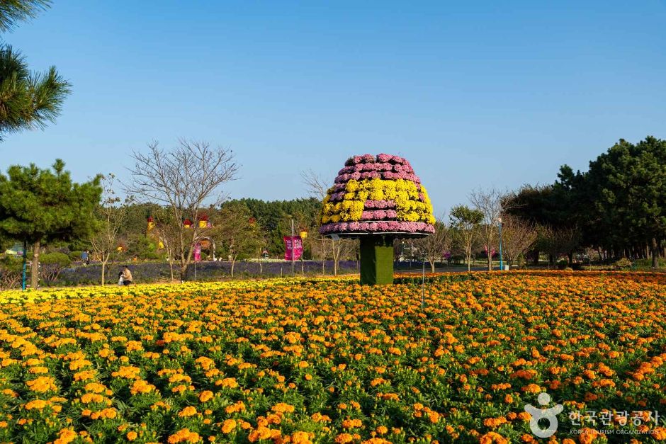 韓國花卉公園(코리아플라워파크)