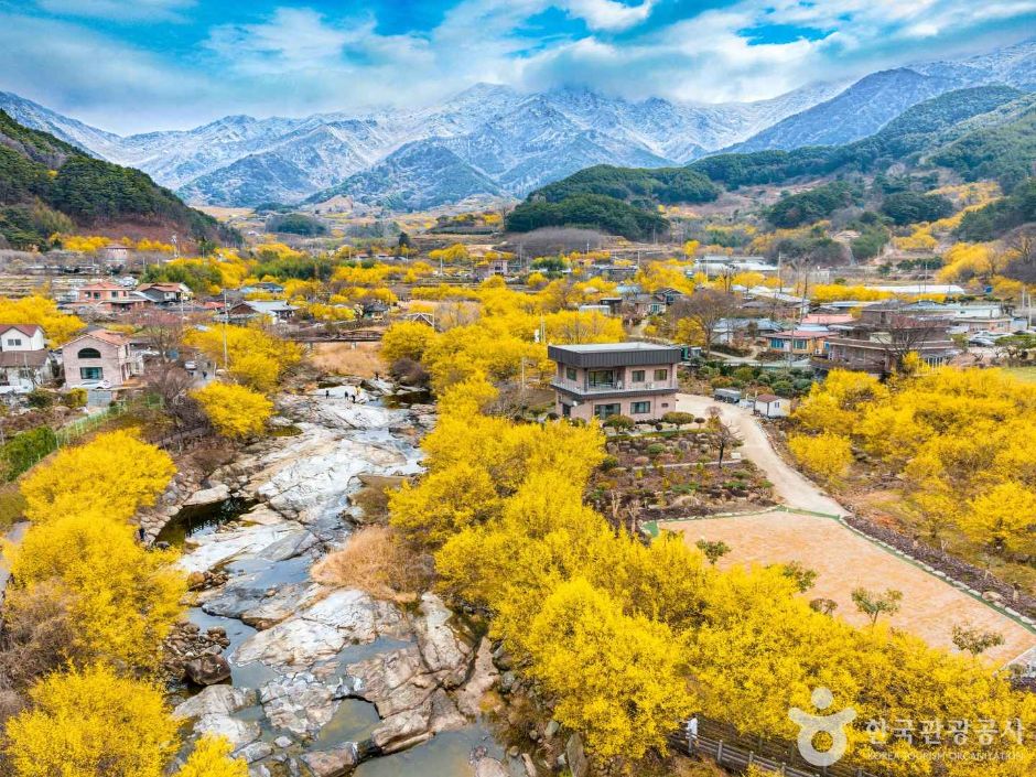 구례 산수유마을