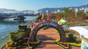 2024 마산가고파국화축제 4