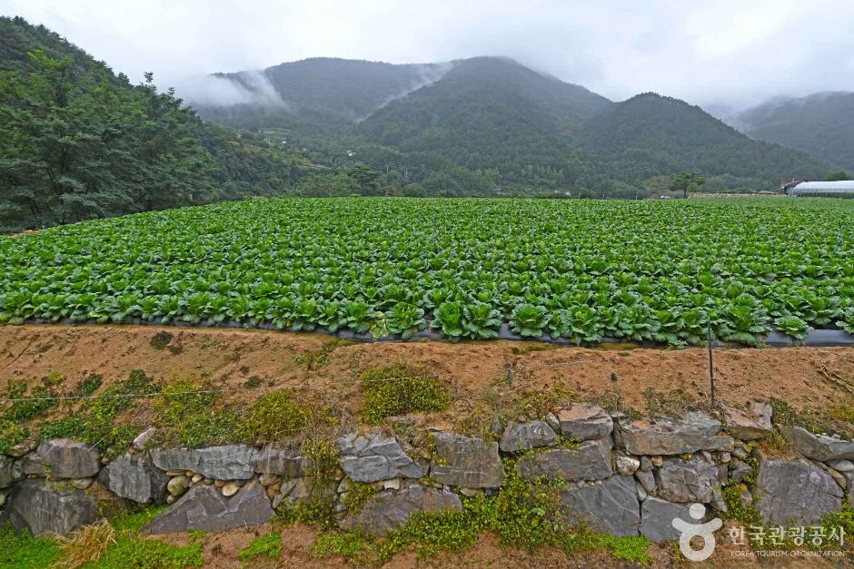 평창_평창 수항리사지 (4)