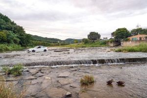 고양_공릉천 (7)