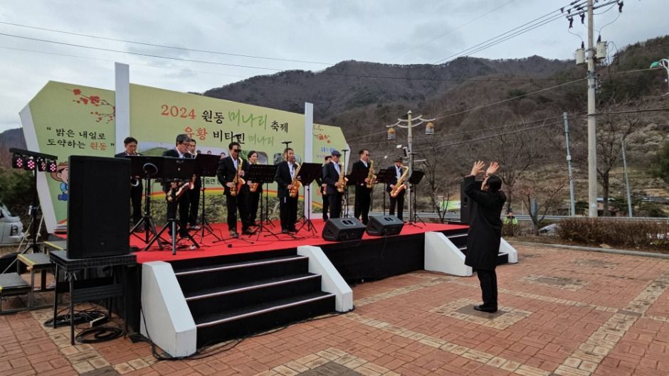 원동면 미나리 축제