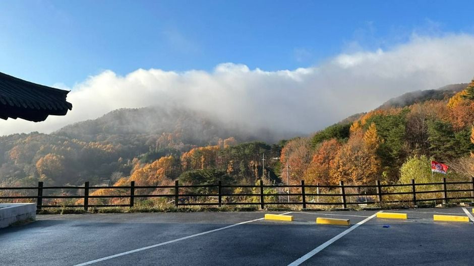 삼성궁1분 자연산장