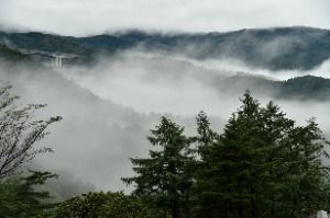 강릉_국립대관령치유의숲 (11)