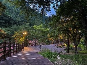 동해_무릉 달빛 호암소 (16)