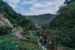 좌구산 자연휴양림