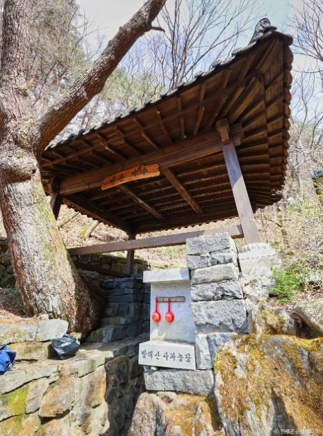 방동약수