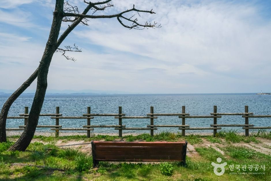 포항_흥환간이해수욕장 (2)